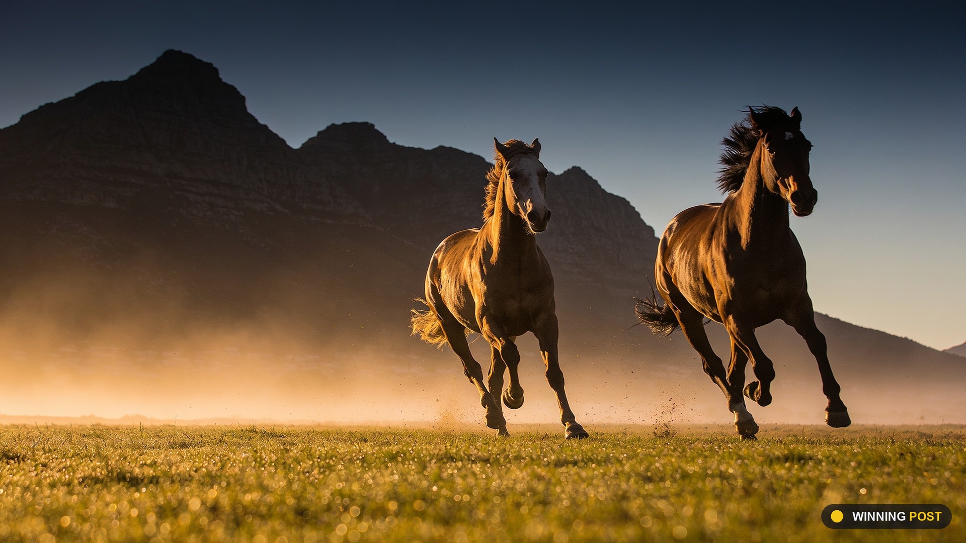 The Family Business: Justin Snaith’s Fillies Take On Greyville